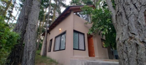 Alto del pinar